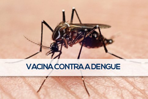 Vacina contra a Dengue